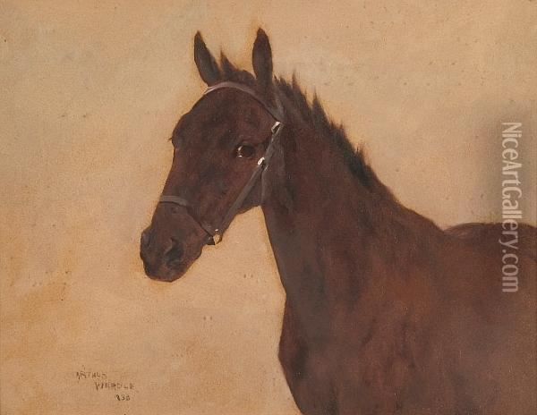 Portrait Of Kit, A Bay Horse Oil Painting - Arthur Wardle