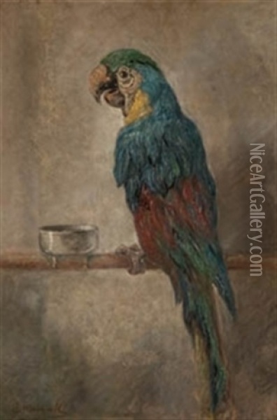 Loro Oil Painting - Jose Mongrell Torrent