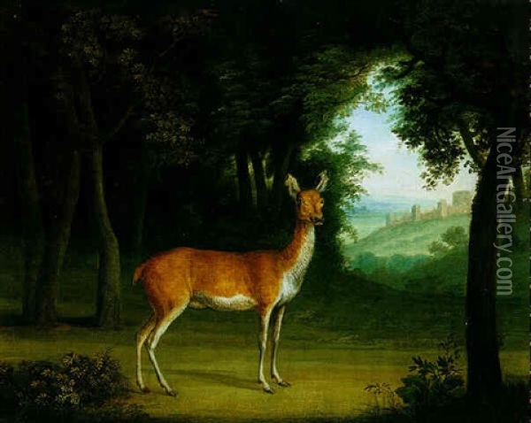 A Red Deer In A Wood Oil Painting - Jacques-Laurent Agasse