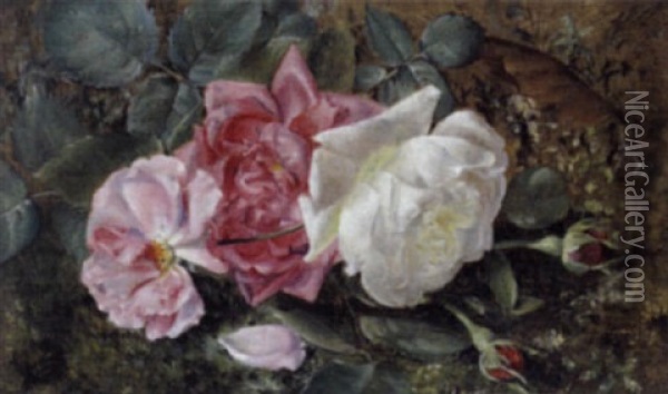 Rosen Am Waldboden Oil Painting - Irma Komlosy