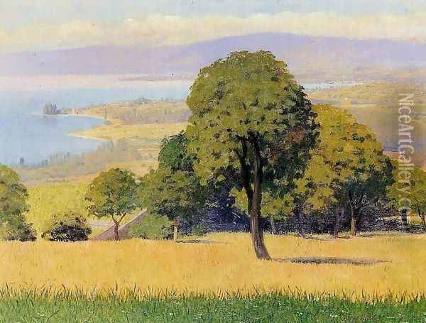 outskirts of Lausanne Oil Painting - Felix Edouard Vallotton