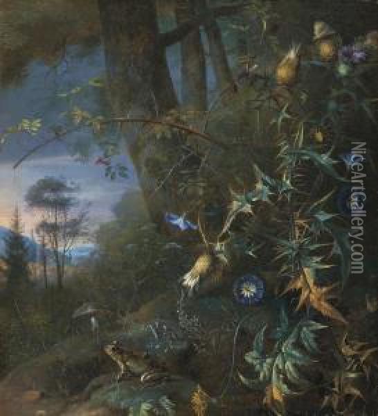 A Forrest Floor Still Life With A Frog And Mushroom, Mountainsbeyond Oil Painting - Mathias Withoos