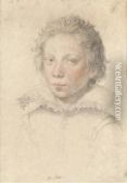 Portrait Of A Boy, Bust-length, Wearing A Lace Collar Oil Painting - Giuseppe Cesari