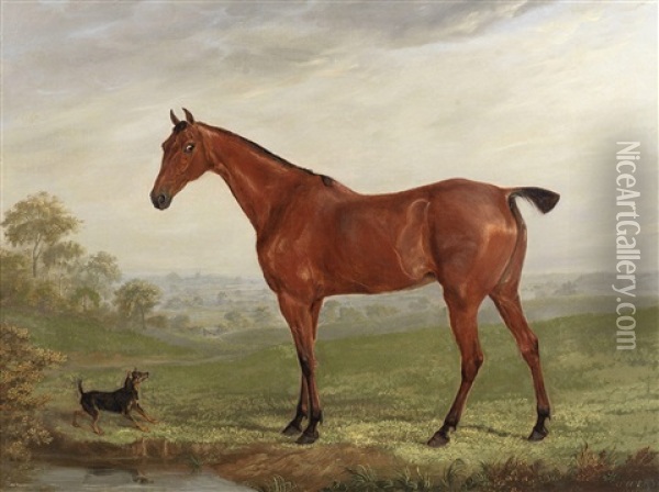 A Chestnut Horse In A Landscape With Terrier Oil Painting - William Webb