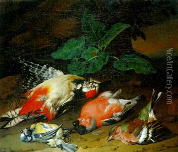 A Dead Great Spotted Woodpecker And Other Birds On A Rocky Bank Oil Painting - Philipp Ferdinand de Hamilton