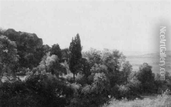 Landscape With Trees Overlooking The Field Oil Painting - Carl Morgenstern