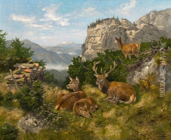 Ruhende Hirsche Oil Painting - Josef Schmitzberger