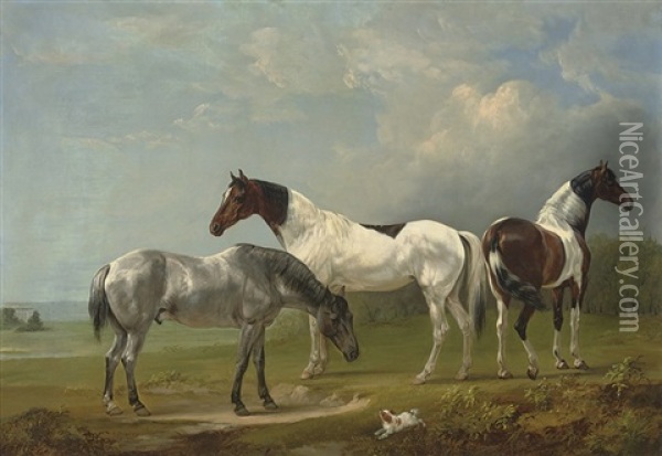 Two Skewbalds, A Grey And Spaniel Oil Painting - Edmund Bristow