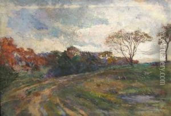 Landscape Oil Painting - Gore Mircescu