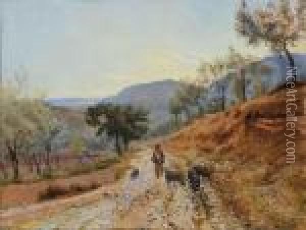 Contadino Con Porci In Campagna Toscana Oil Painting - Theodor Philipsen