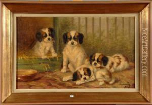 Chiots Oil Painting - Sophie Pir