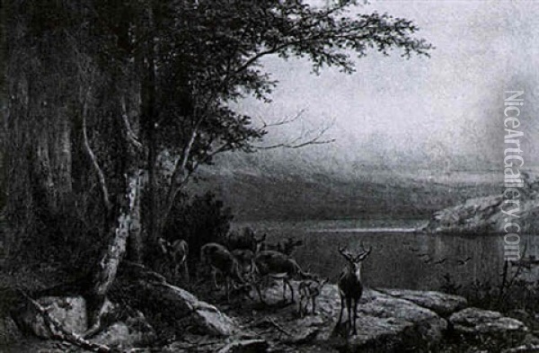 Deer By The Lake Oil Painting - William Holbrook Beard