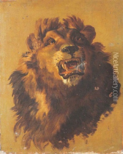 Etude De Tete De Lion Oil Painting - Jean-Baptiste Oudry