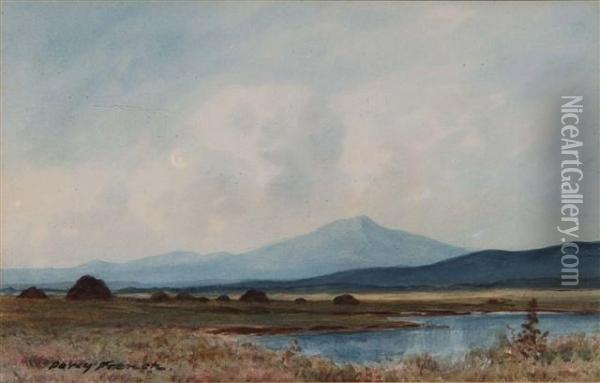 Peat Bogs Oil Painting - William Percy French