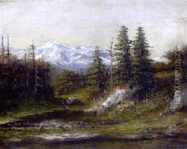 Paysage Alpin Oil Painting - Gustave Courbet