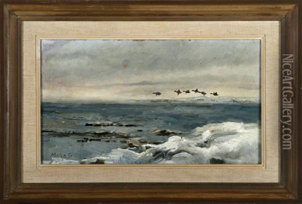 Flying Sea Birds At A Winter Coast. Signed Oil Painting - Mosse Stoopendaal