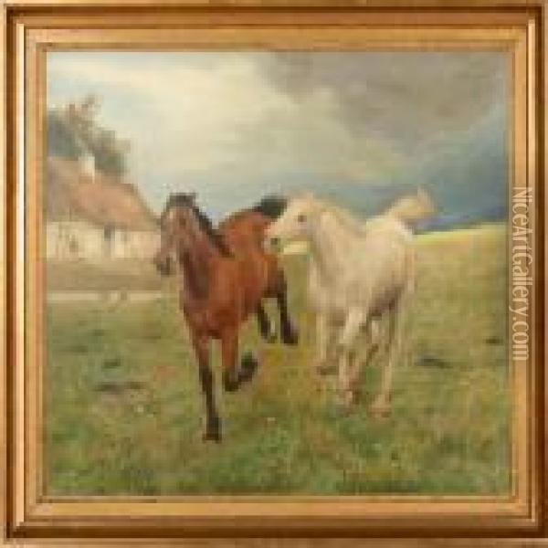 Two Horses In Gallop Oil Painting - Otto Bache