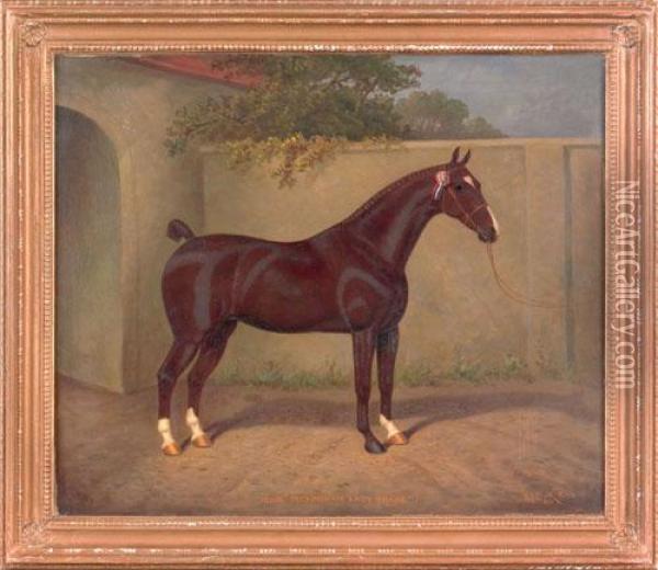 Horse Portrait Oil Painting - William Albert Clark