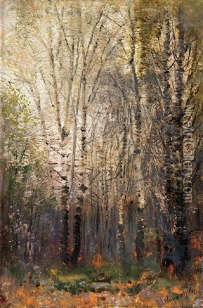 Birch-wood In City Park Oil Painting - Laszlo Mednyanszky