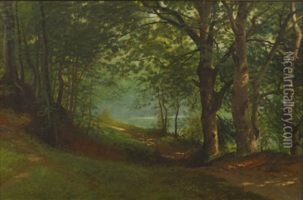 Path By A Lake In A Forest Oil Painting - Albert Bierstadt