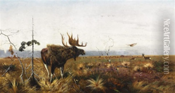 Moose And Deer Herd In An Extensive Landscape Oil Painting - Richard Bernhardt Louis Friese