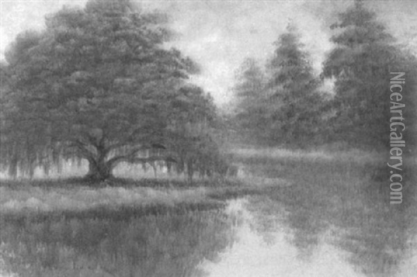 Reflection With Louisiana Live Oak Oil Painting - Alexander John Drysdale