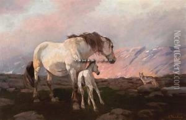 Hest Og Ulv Oil Painting - Elisabeth Sinding