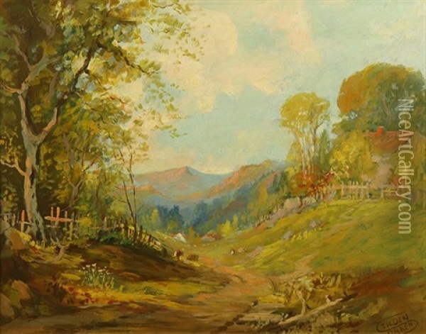 Scene In Bennett Valley, California Oil Painting - Tilden Daken