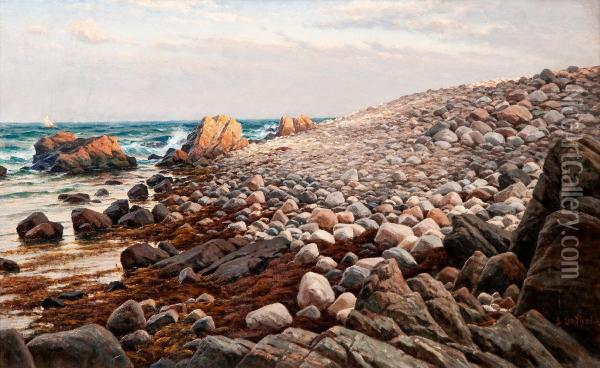 View Of The Shore Oil Painting - Berndt Adolf Lindholm