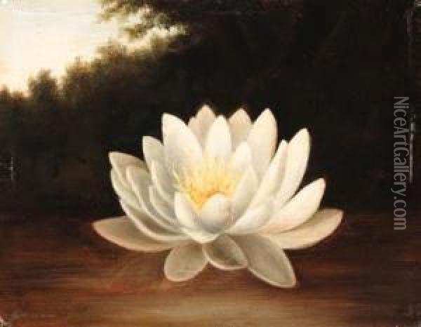 Water Lily Oil Painting - Paul Lacroix
