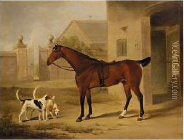 A Bay Hunter And Two Hounds Outside A Stable Oil Painting - William Barraud