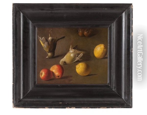 Still Life With Birds And Fruits Oil Painting - Jan Vonck