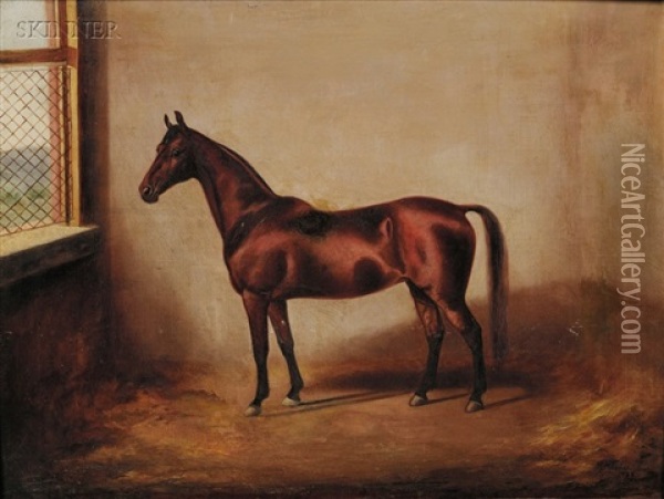 Portrait Of A Horse Oil Painting - Marie Guise Newcomb