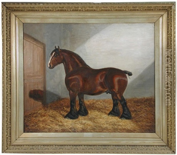 Portrait Of A Dark Bay Shire In A Stable Oil Painting - Albert Clark