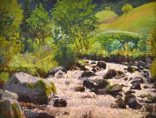 Waterfall, South Of France Oil Painting - Ernest Moulines