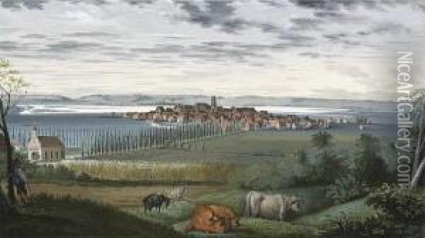 Ansicht Von Buchau Mit Dem Federsee. Oil Painting - Johann Baptist Pflug