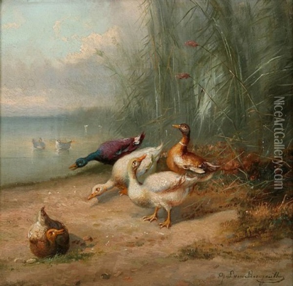 Ducks By The Water Oil Painting - Jef Louis Van Leemputten