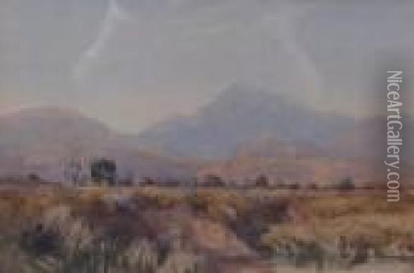 Snr - A View Near Snowdon With Horse And Cart Oil Painting - David I Cox