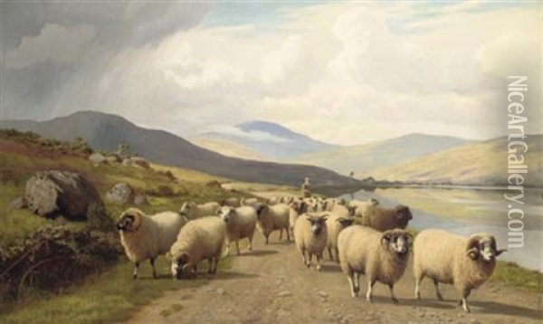 Sheep By A Loch Oil Painting - William Sidney Cooper