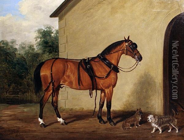 A Carriage Horse With Two Terriers In A Yard Oil Painting - James Loder Of Bath