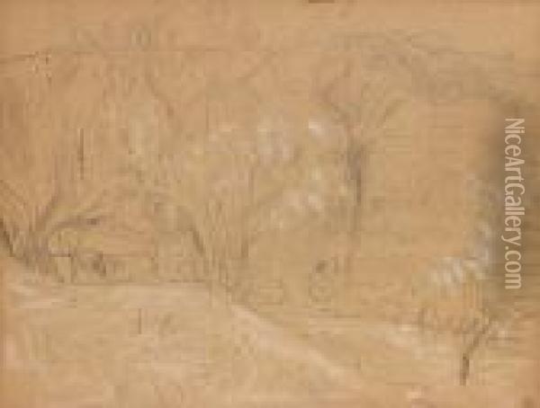 Paysage Oil Painting - Pierre Bonnard