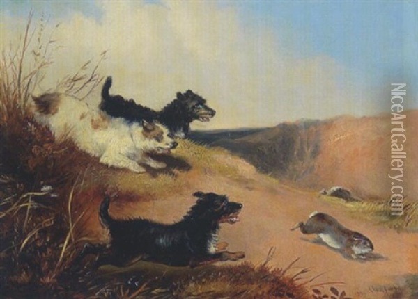 Drei Terrier Jagen Einen Hasen Oil Painting - Edward Armfield