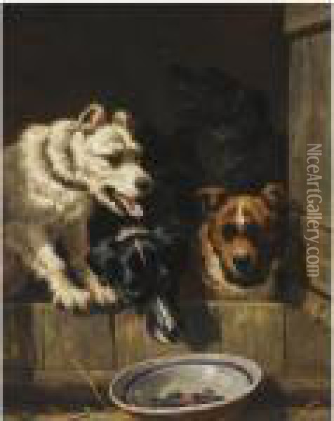 The Empty Bowl Oil Painting - Henriette Ronner-Knip