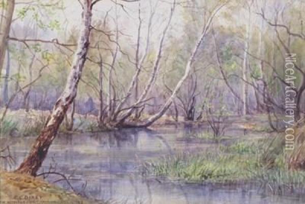 On Wimbledon Common Oil Painting - Frederick Charles Dixey