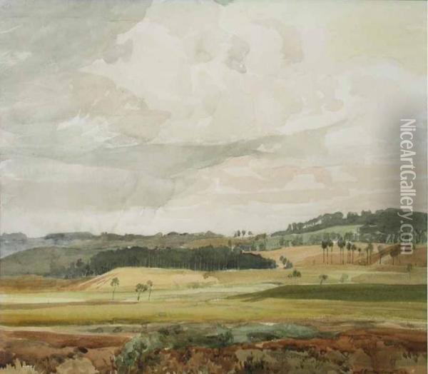 Looking Over Haymoor Bottom To Broadstone, Dorset Oil Painting - Rowley Smart