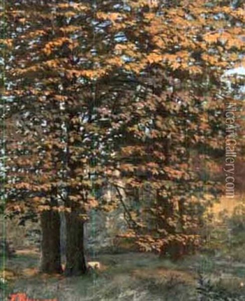 Trees In Summer Oil Painting - Francois Leon Prieur-Bardin