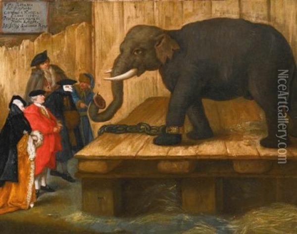 The Elephant Oil Painting - Pietro Longhi