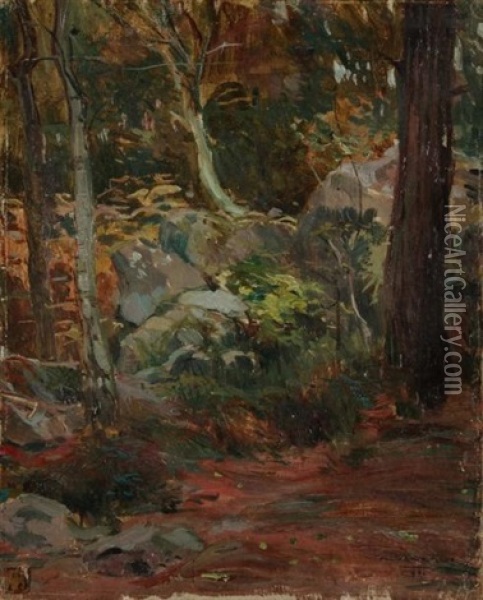 Sous-bois Oil Painting - Alfredo Vaccari