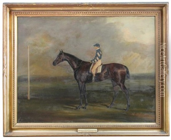 Lottery, A Dark Bay Racehorse, Winner Of The Doncaster Cup Oil Painting - Benjamin Herring Sr.