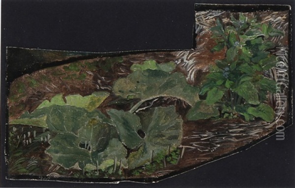 Plants Growing On The Forest Floor Oil Painting - Lorenz Frolich